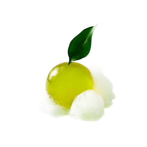 Sapun gelatinos de curatare cu extract de ceai verde din insula Jeju, 110g | ongredients